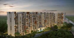 Rohan Abhilasha 2,3 BHK flats Sale in Wagholi